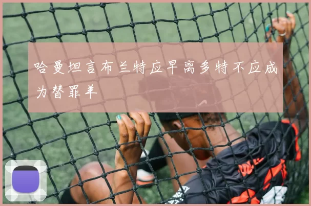 哈曼坦言布兰特应早离多特不应成为替罪羊
